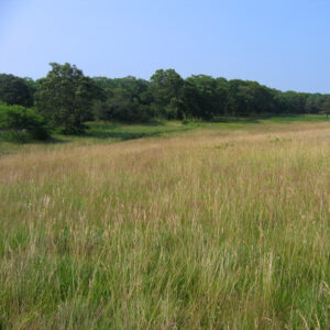 natsfarm-property