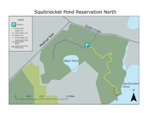 SPR North Website