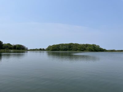 Lagoon Pond