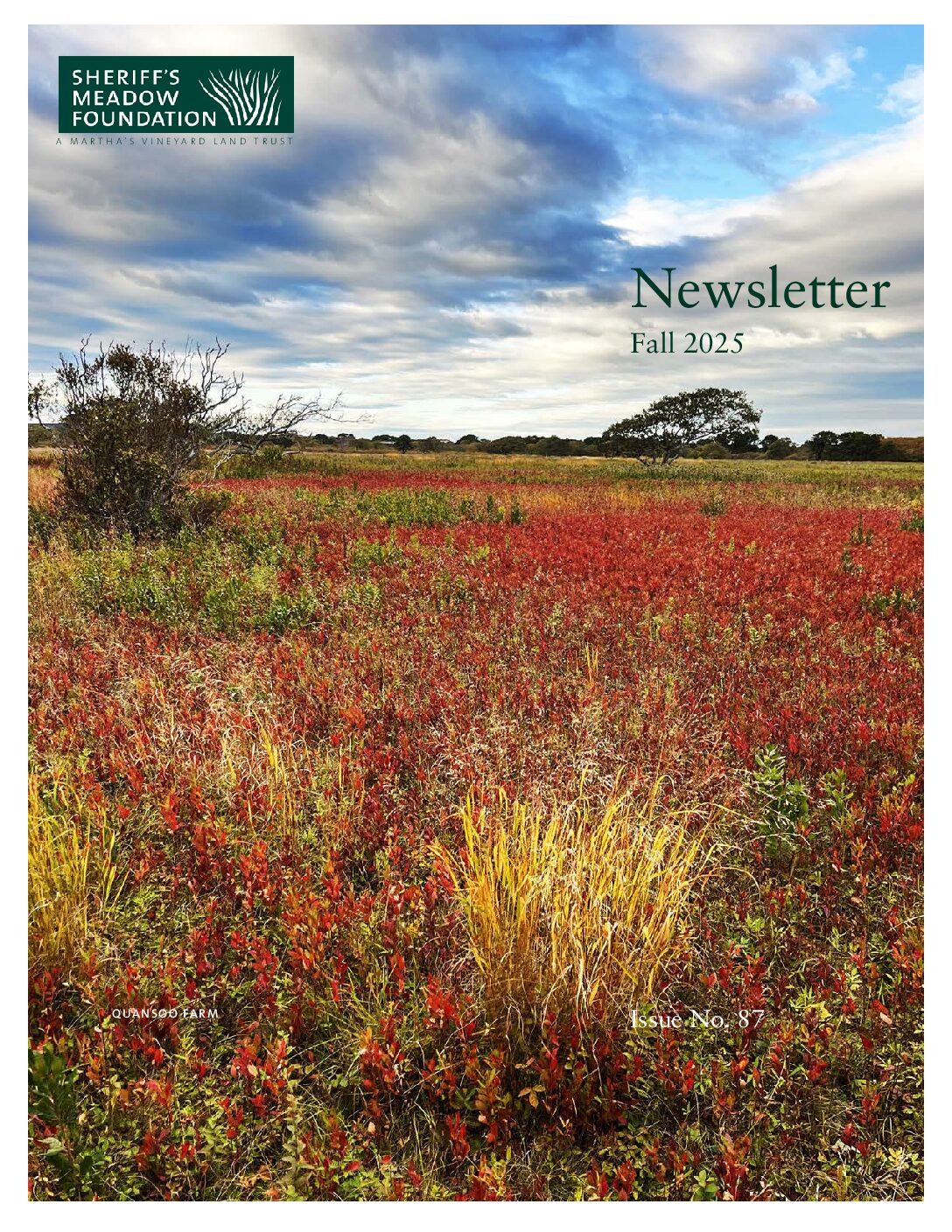 Cover SMF Issue Fall 2025