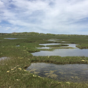 Mumcheag-Creek